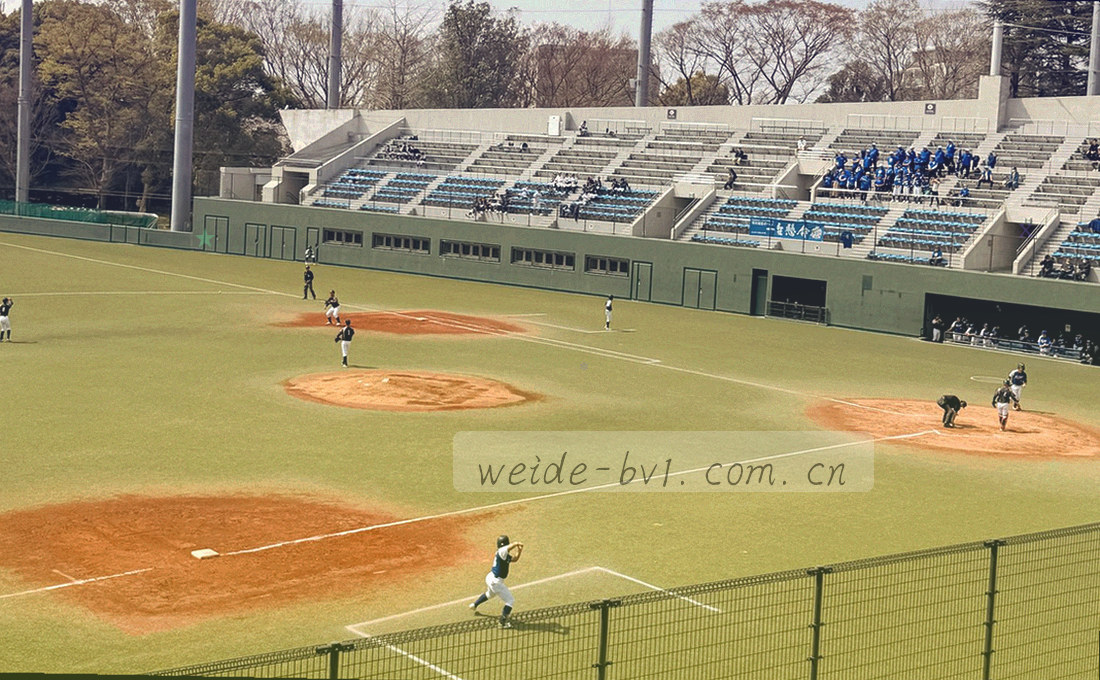 横排的十二格索引卡，格内用暖金小点标记专题节点